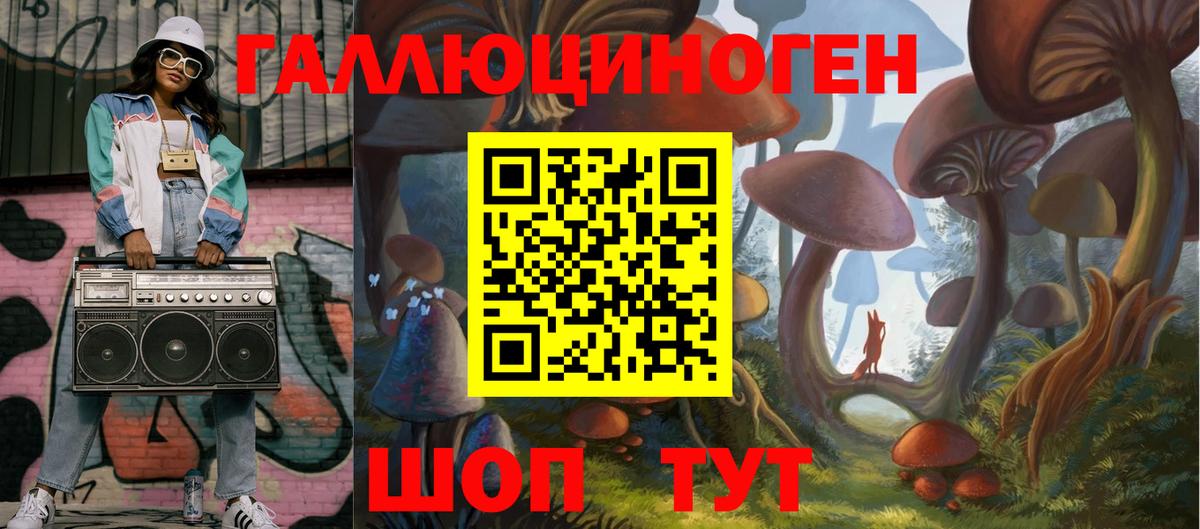 Галлюциногенные грибы Psilocybine cubensis Обь